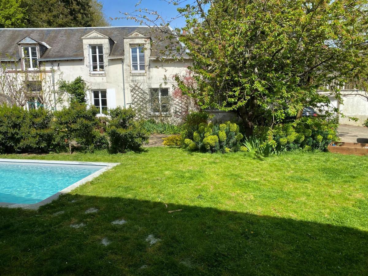Renove Avec Piscine Au Coeur De